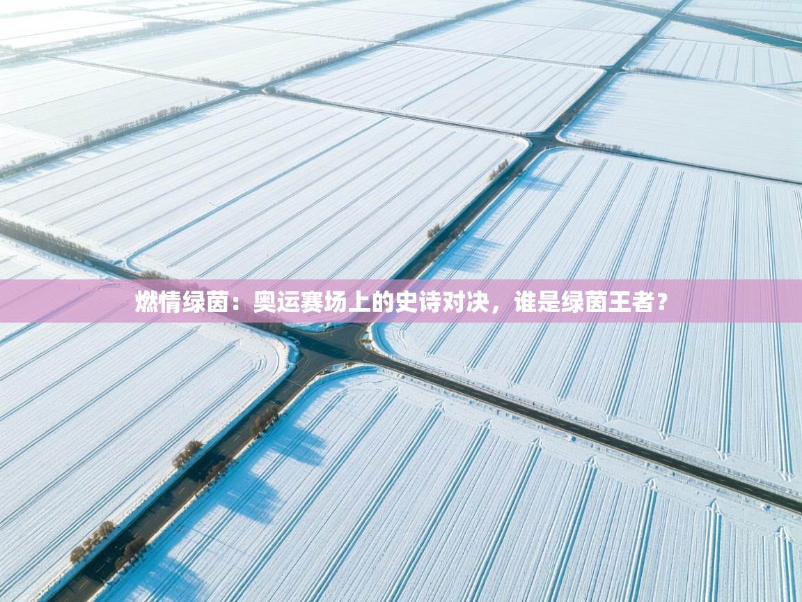 燃情绿茵:奥运赛场上的史诗对决,谁是绿茵王者? 第1张