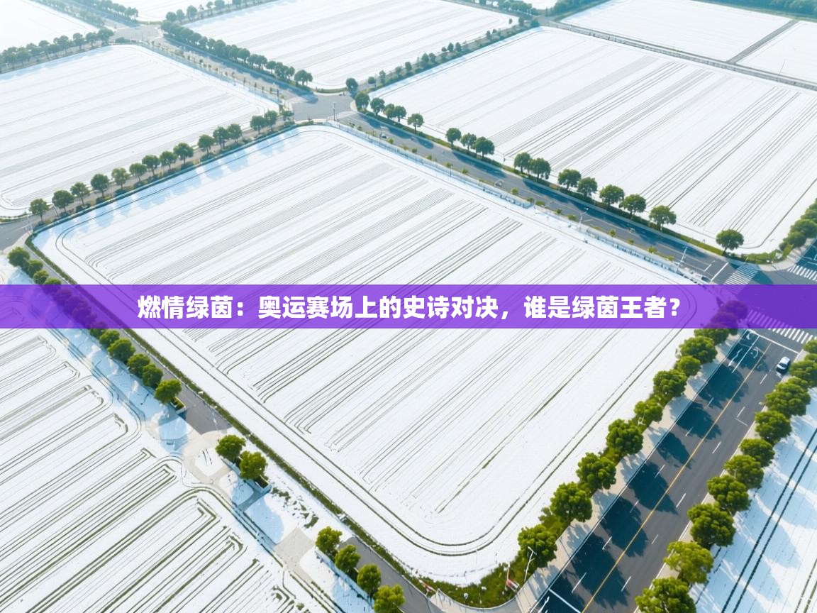 燃情绿茵:奥运赛场上的史诗对决,谁是绿茵王者? 第2张